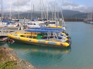 Whitsunday Island-002